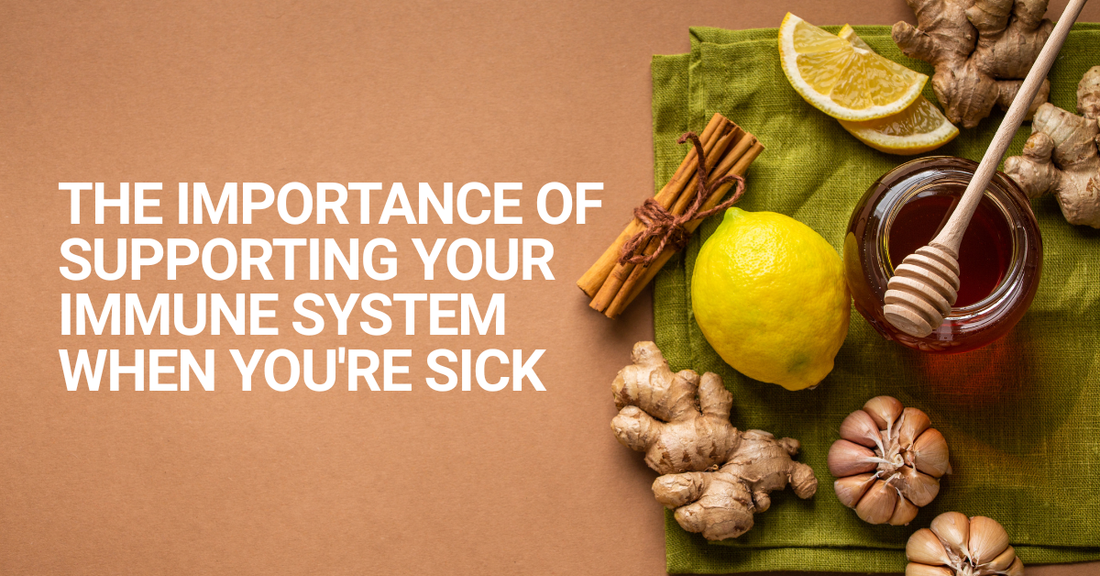 The Importance of Supporting Your Immune System When You're Sick