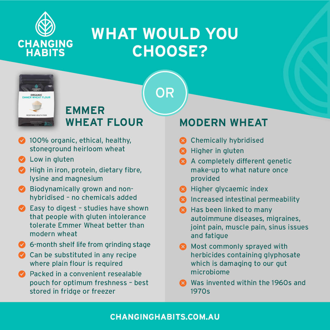 Emmer Wheat