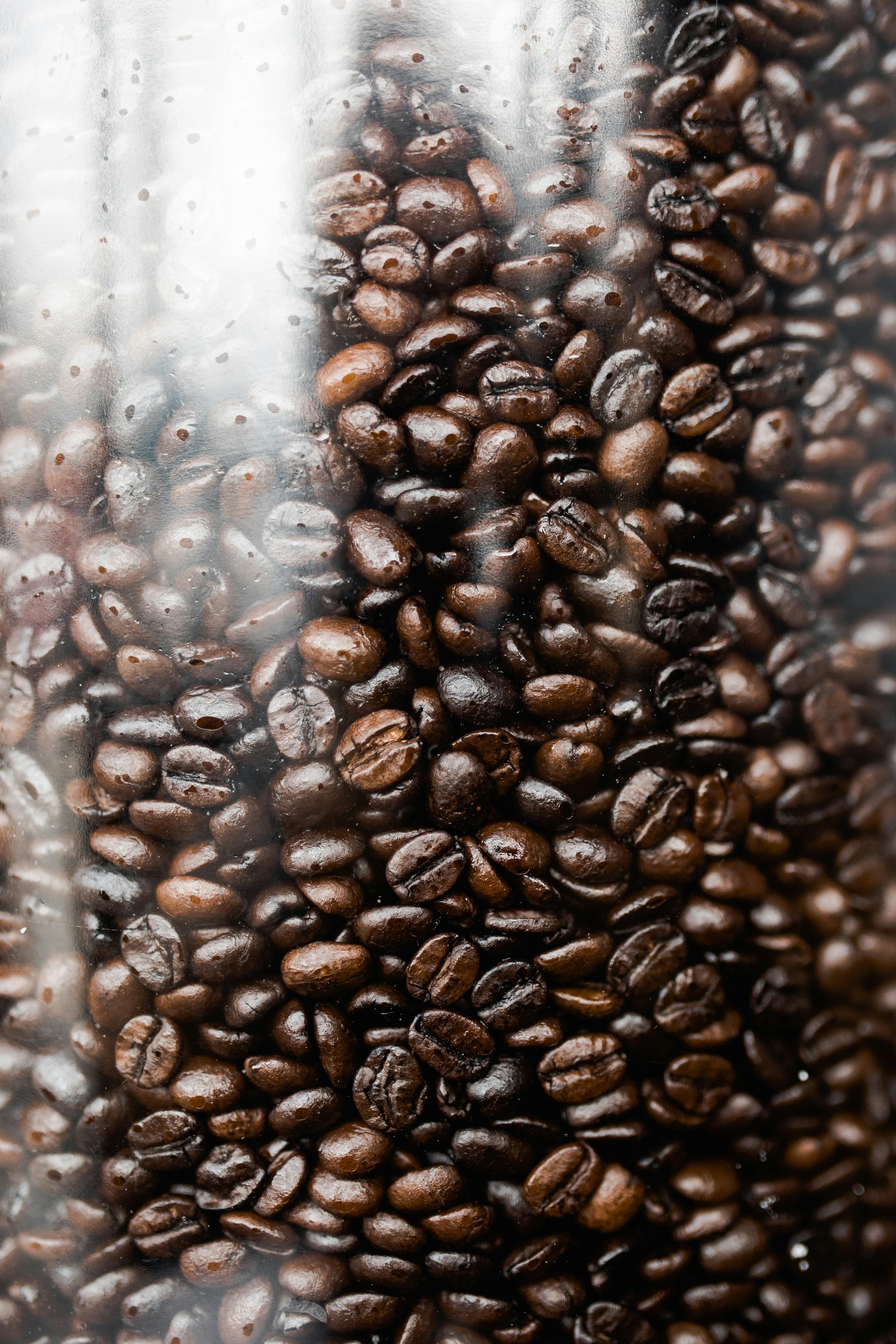 Coffee Beans